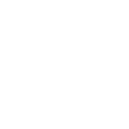 Operasyon & Yönetim